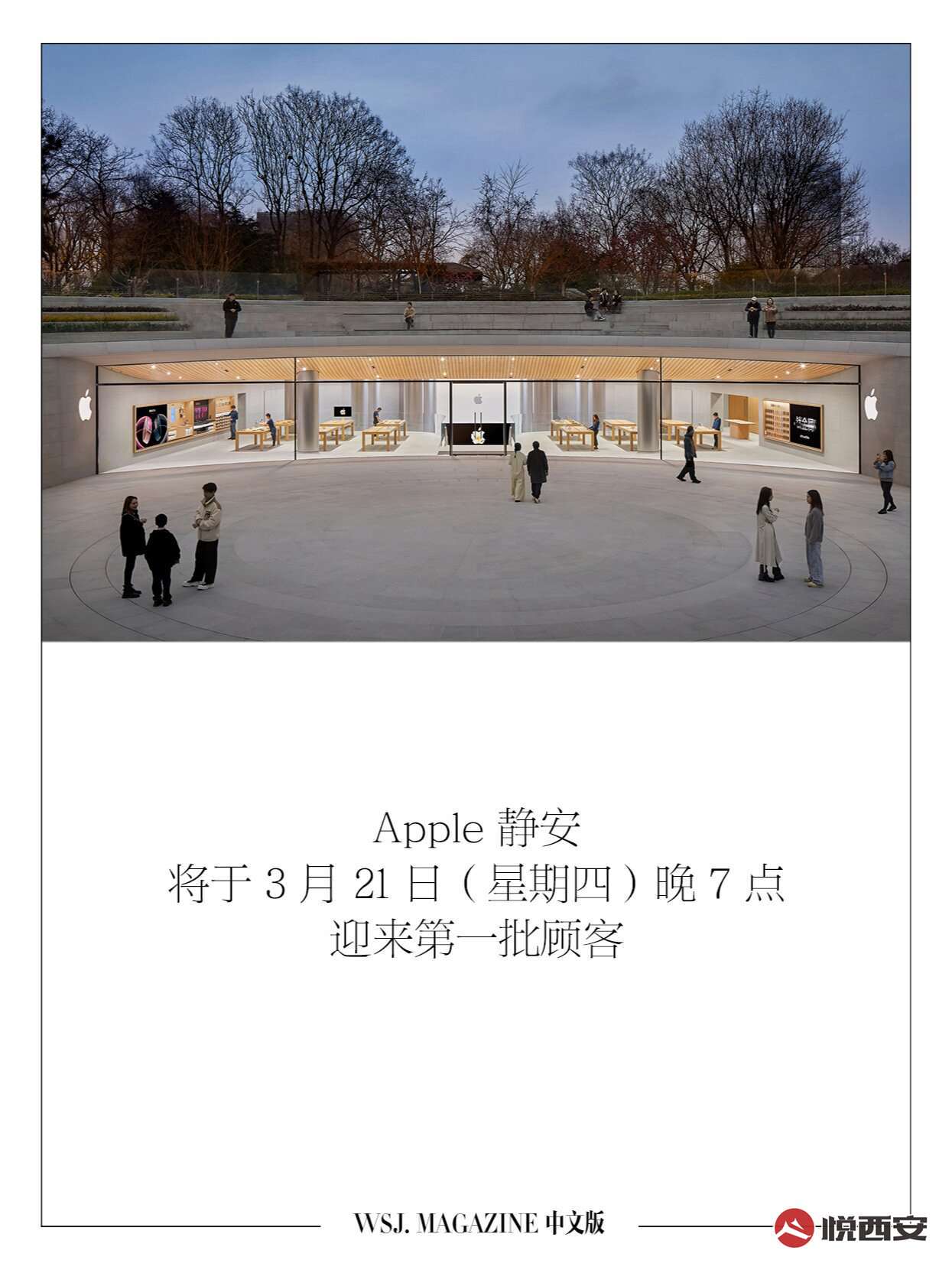 Ȧ--Apple Store ҵڼ-ҫ̳-(9)
