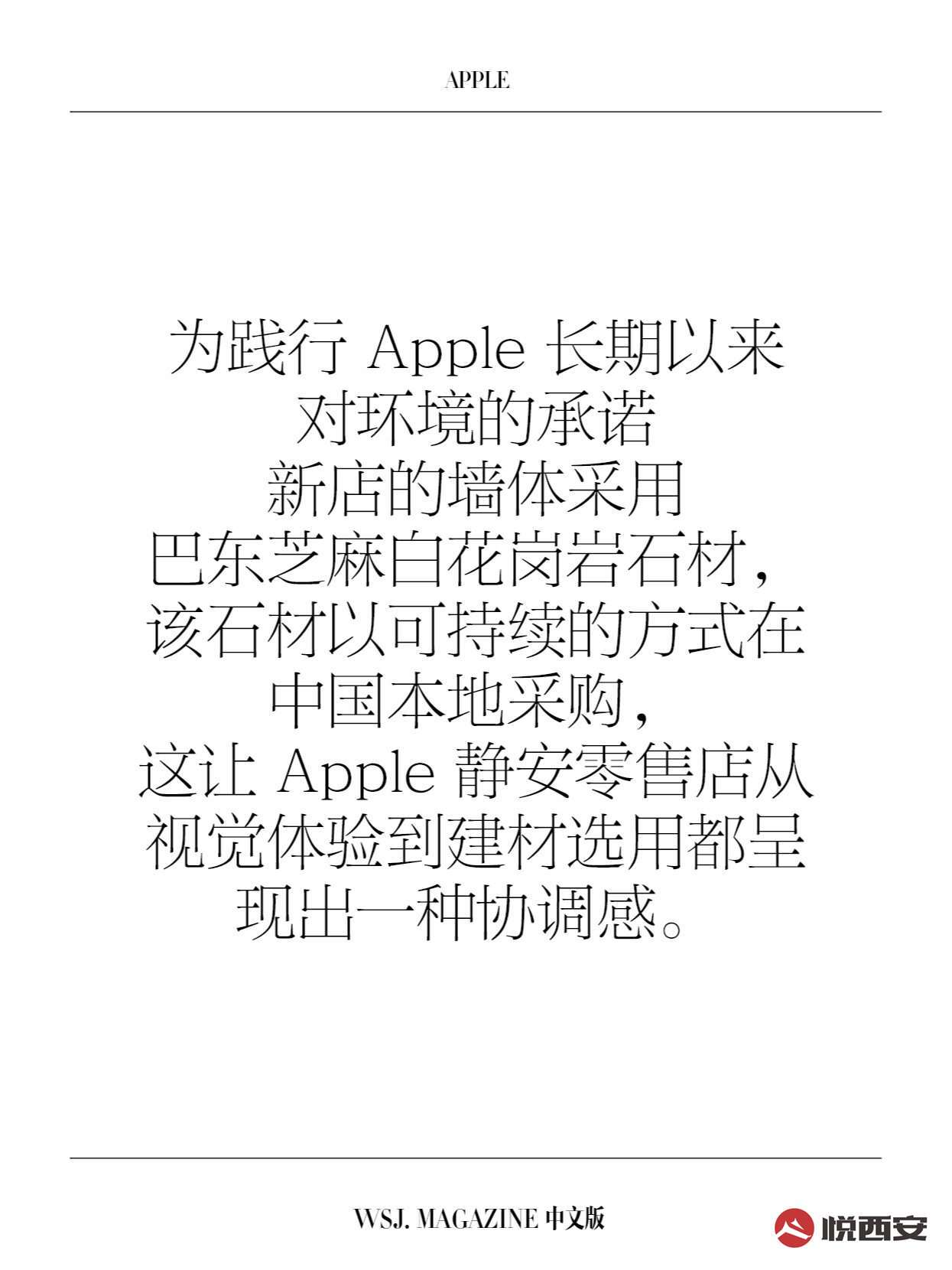 Ȧ--Apple Store ҵڼ-ҫ̳-(8)