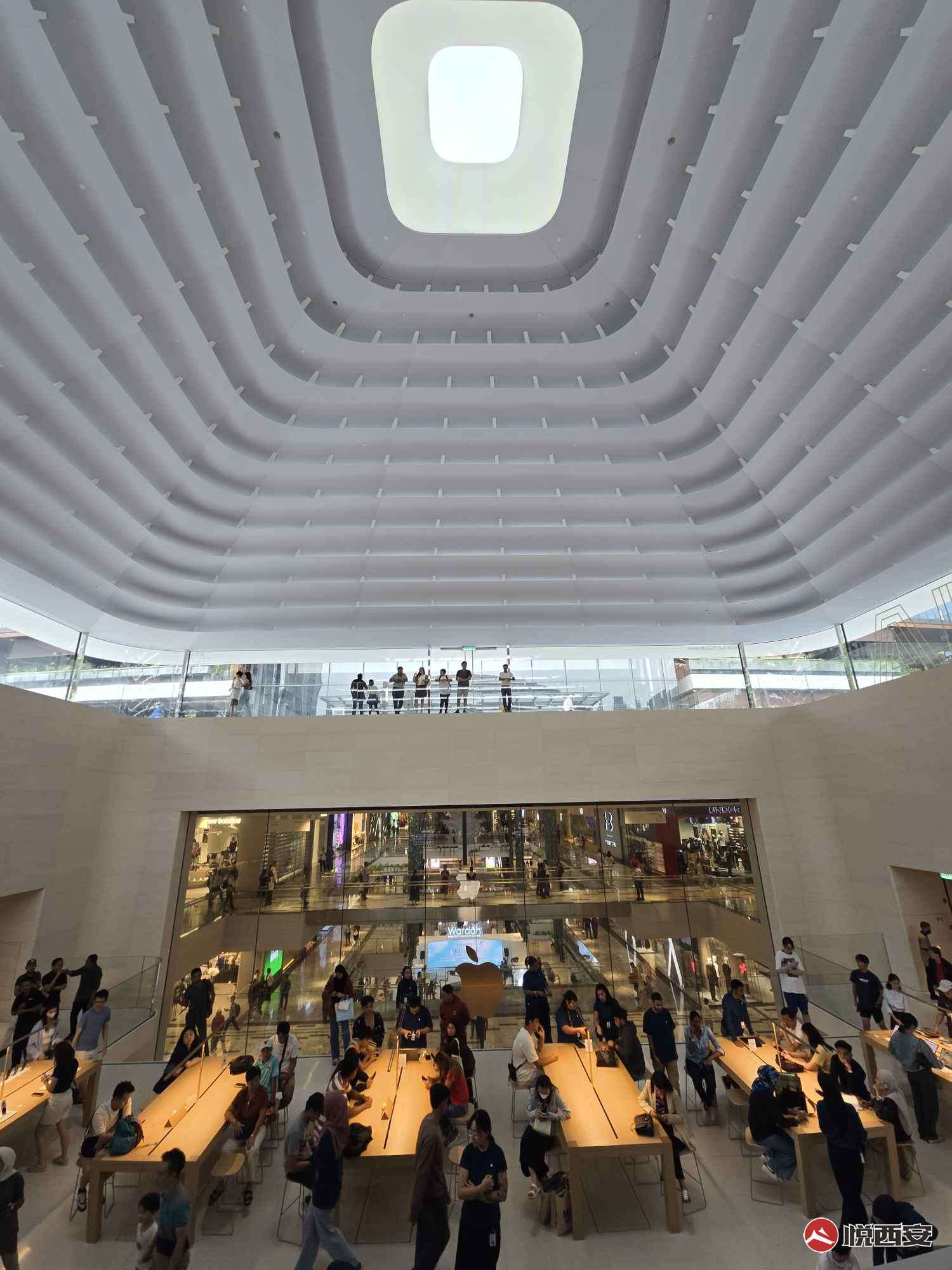 Ȧ--¡apple store̳-ҫ̳-(4)